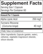 Alpha Lipoic Acid (60 caps) (ko)