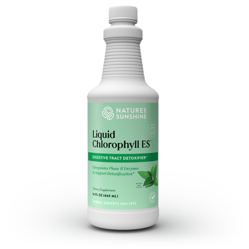 Chlorophyll ES, Liquid (16 fl. Oz.) (ko)